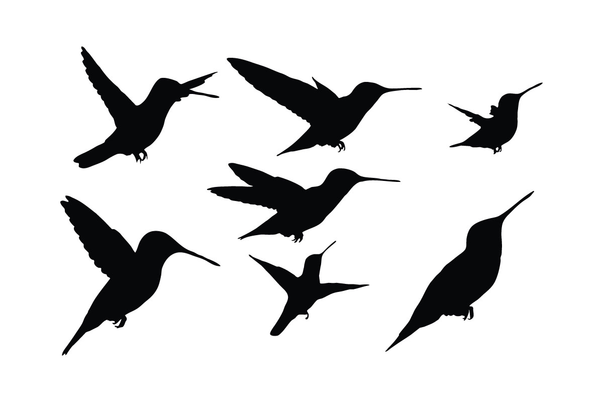 Hummingbird silhouette collection vector