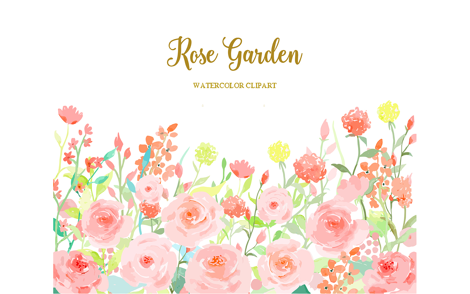 Watercolor Flower Collection Rose Garden Illustration