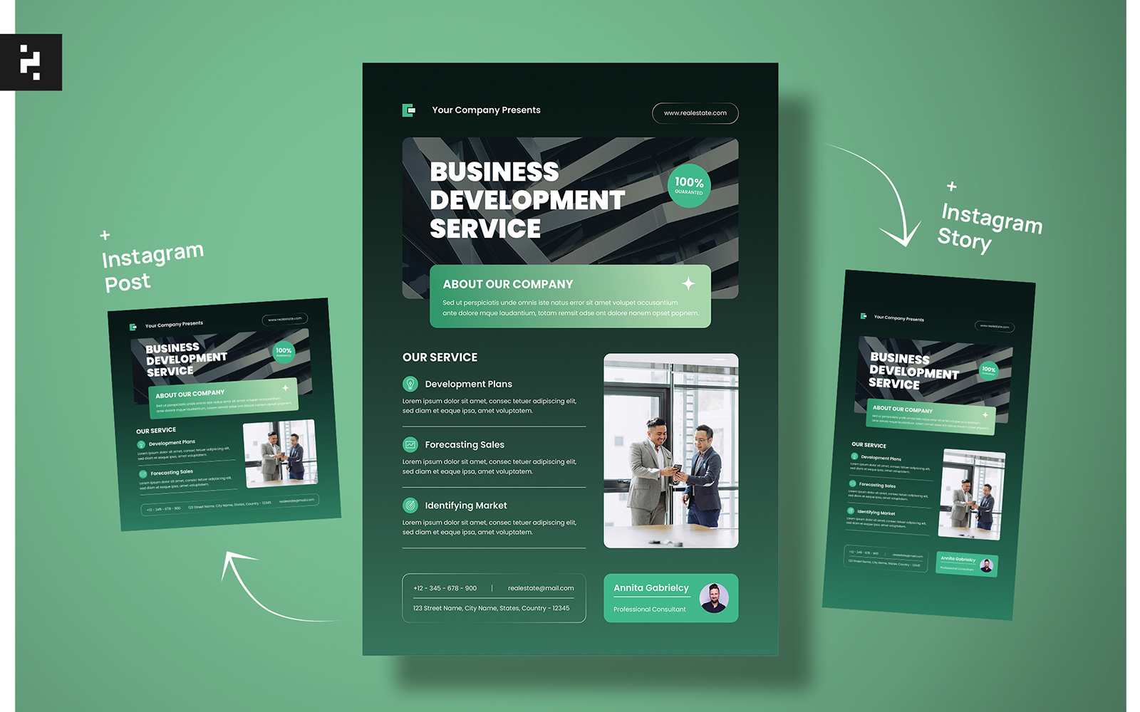 Business Development Corporate Flyer