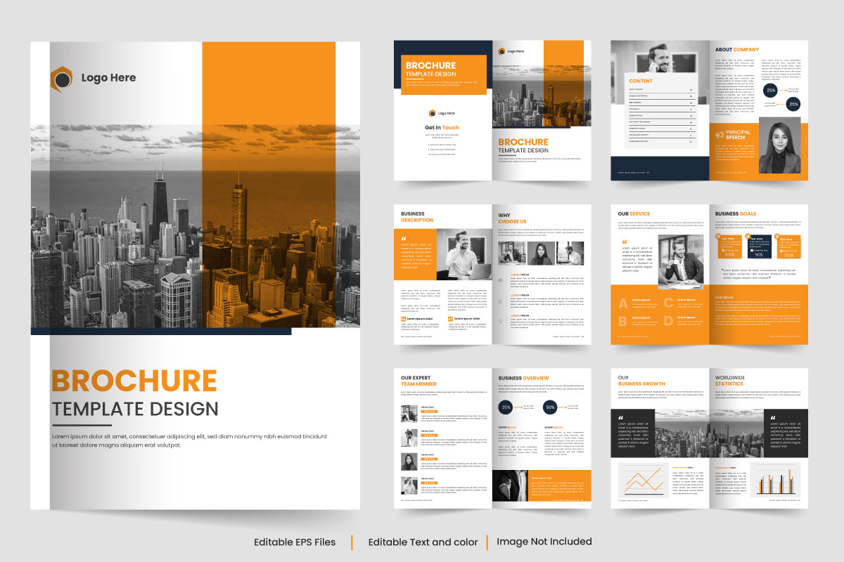 Vector brochure template design and company brochure template layout design