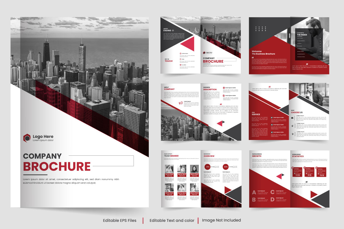 Vector brochure template design and company brochure template layout design concept
