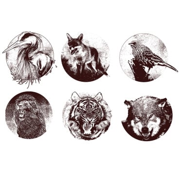 Animals Anime Illustrations Templates 330851