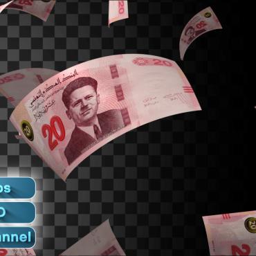 Finance Flying  331208