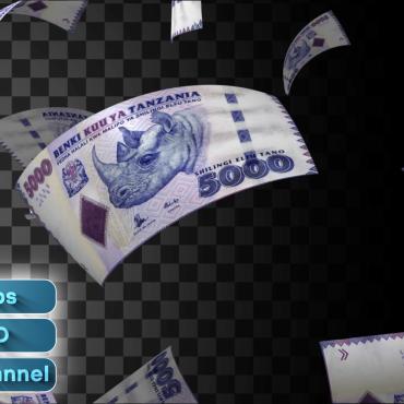 Finance Flying  331215