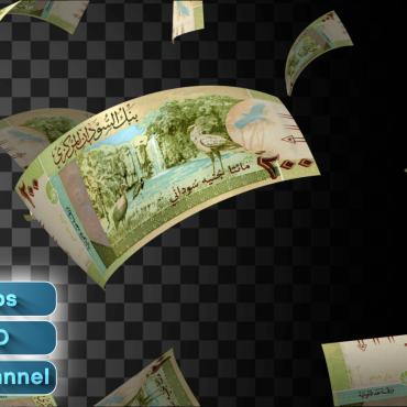 Finance Flying  331220