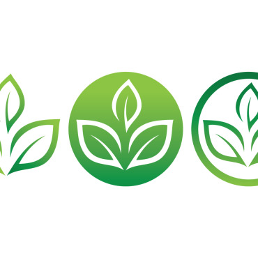 Organic Eco Logo Templates 331402