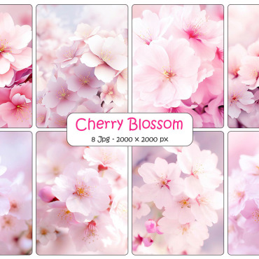 Blossom Background Backgrounds 331938