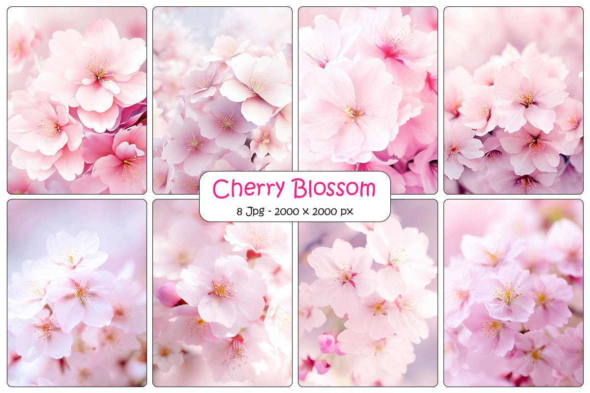 Pink cherry blossom and Realistic sakura with pink flowers and falling petals background