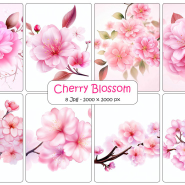 Blossom Background Backgrounds 331940