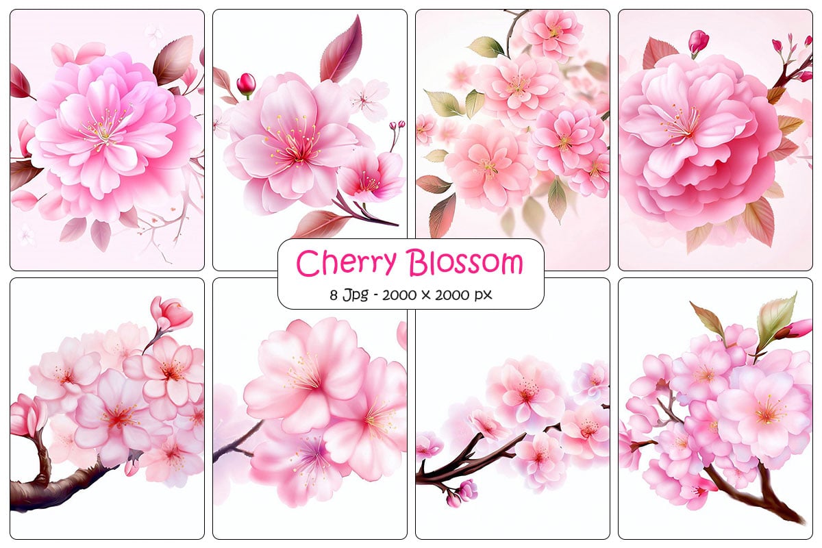 Sakura cherry pink flowers background and floral elements