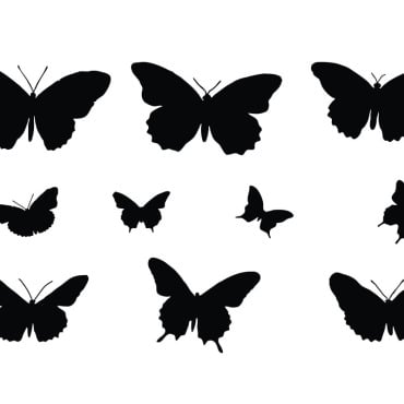 Monarch Butterfly Illustrations Templates 332253