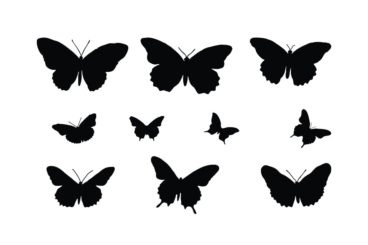 Butterfly silhouette collection vector