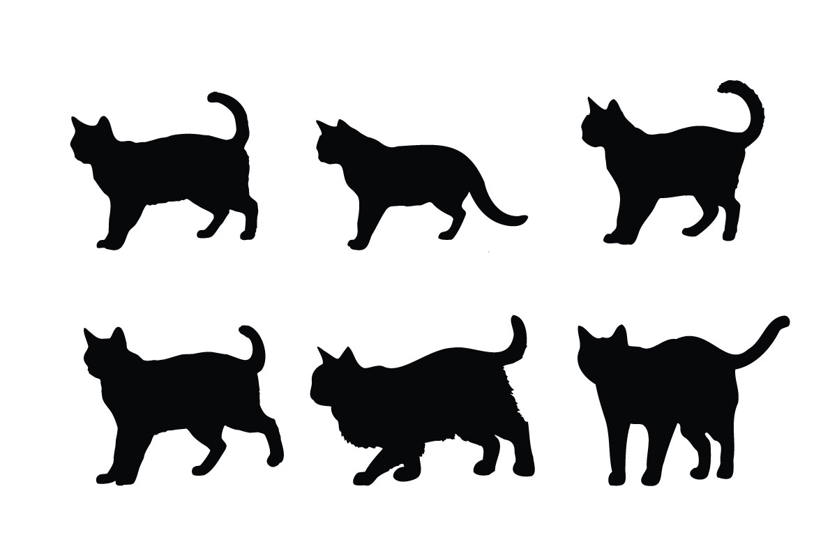 Cat silhouette design collection vector