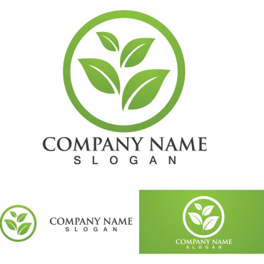 Leaf Green Logo Templates 333982