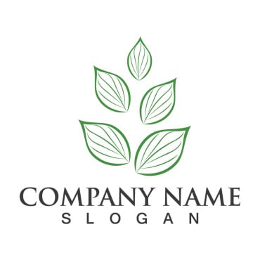 Leaf Green Logo Templates 334033