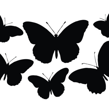 Butterfly Icons Illustrations Templates 334255