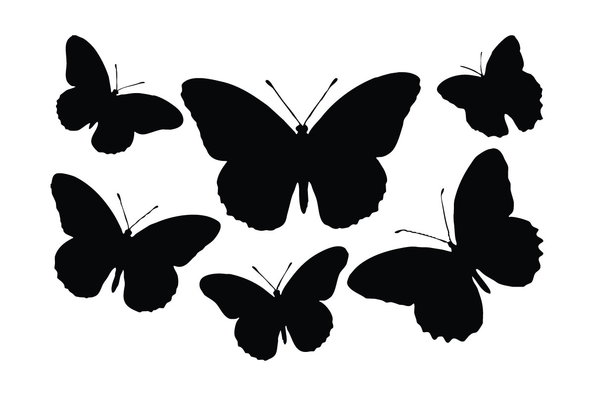 Butterfly and moth flying silhouette