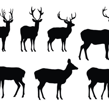 Vector Stag Illustrations Templates 334319