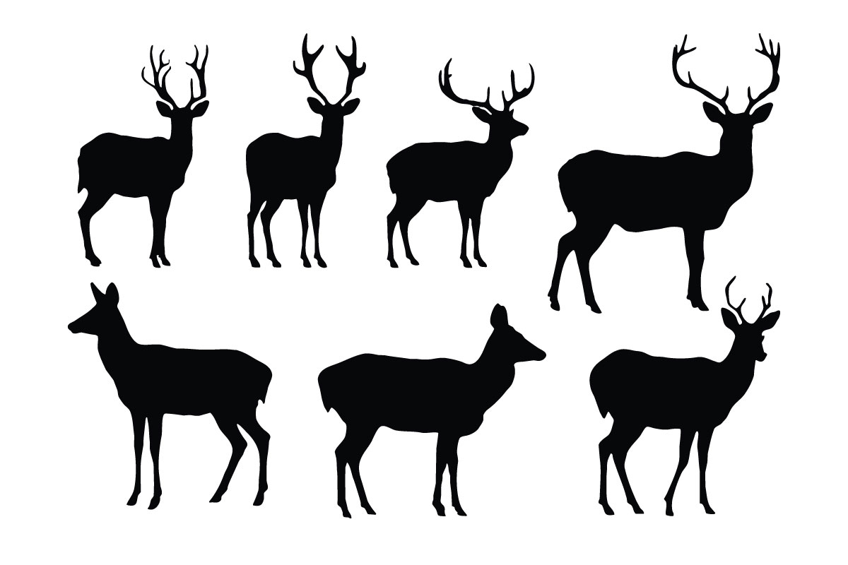 Deer standing silhouette collection