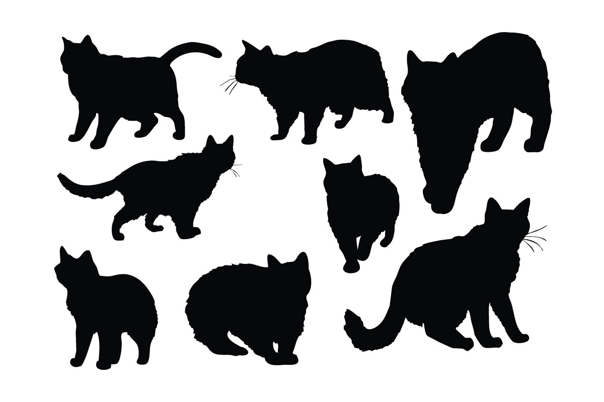 Cat walking silhouette vector collection