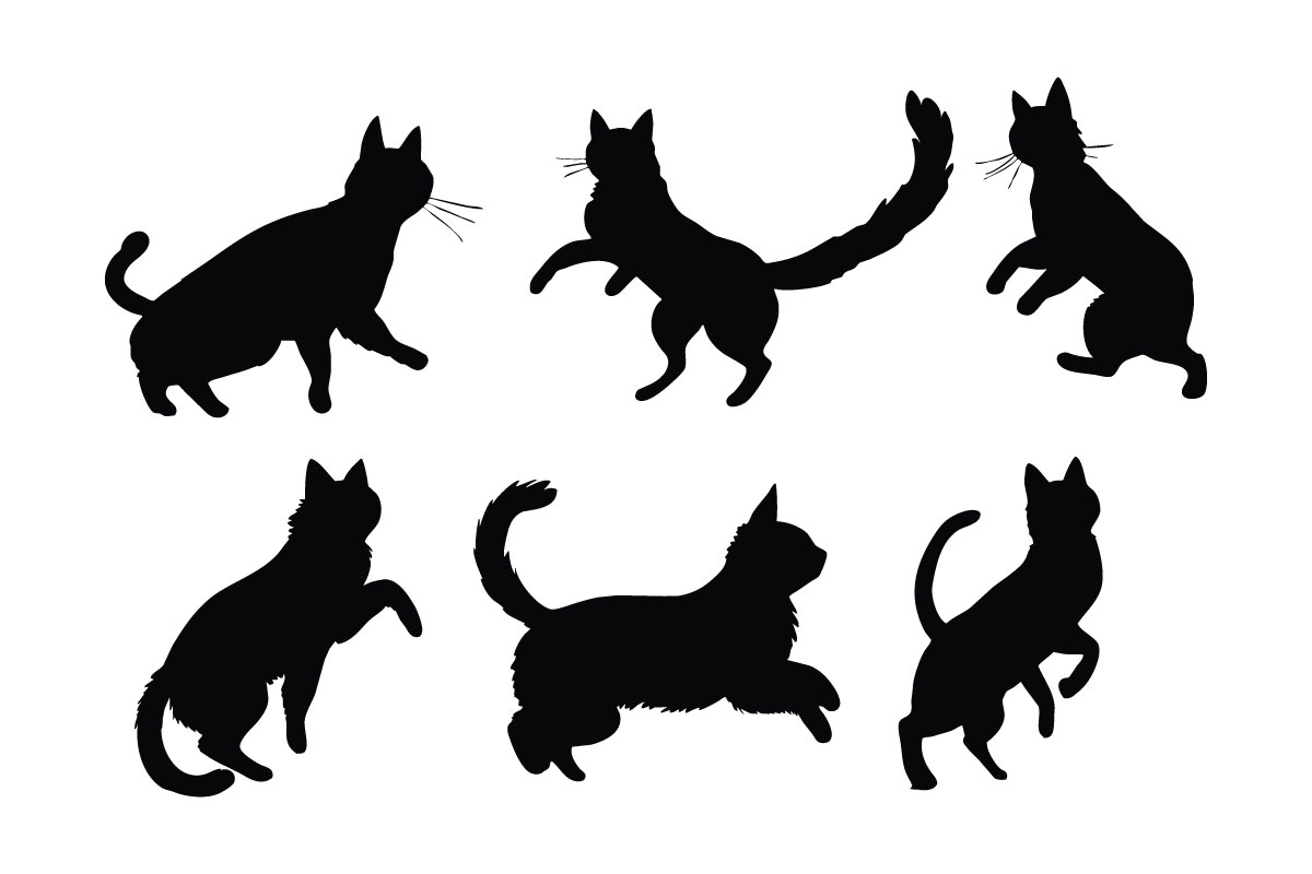 Feline in different positions silhouette