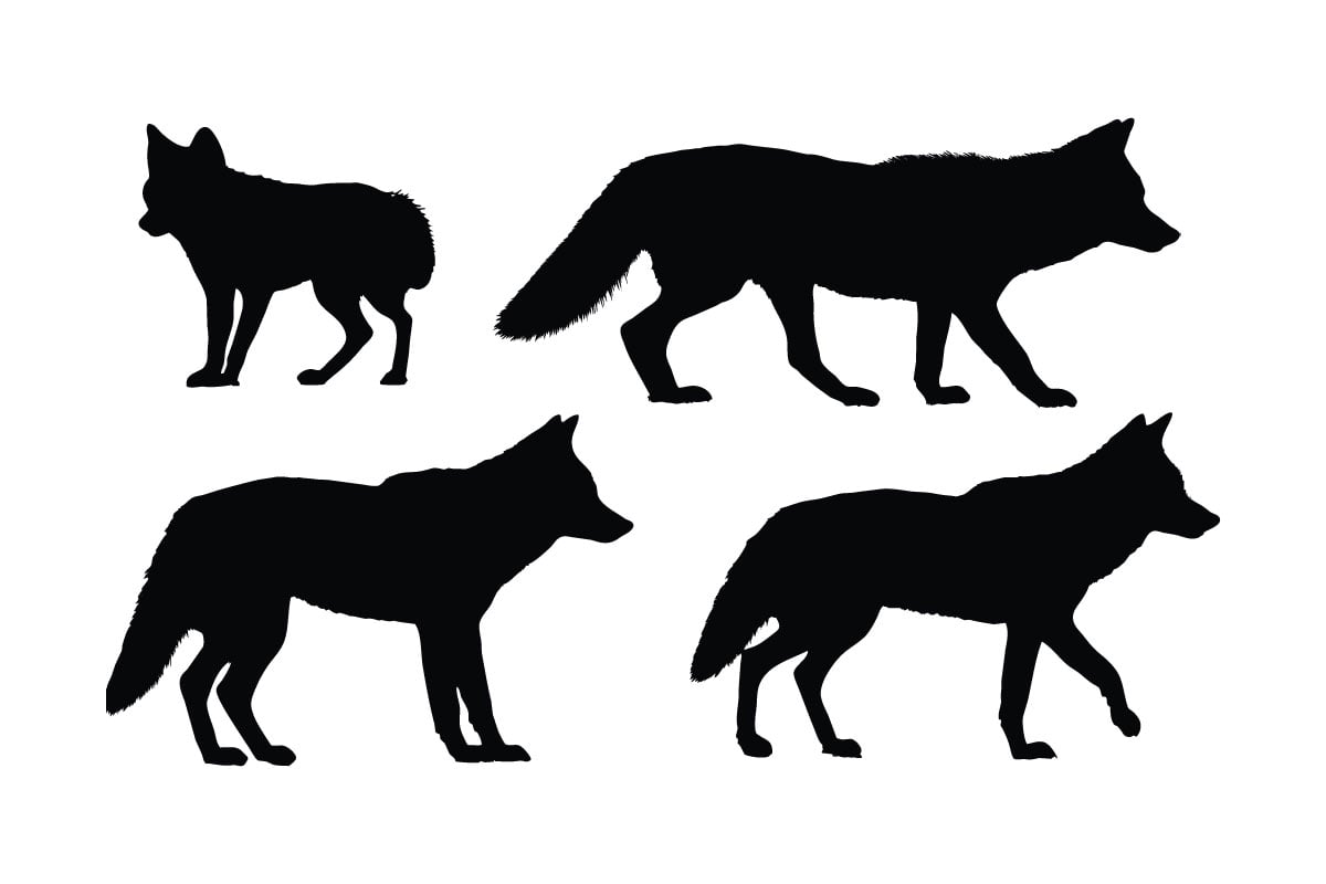 Coyote standing silhouette set vector