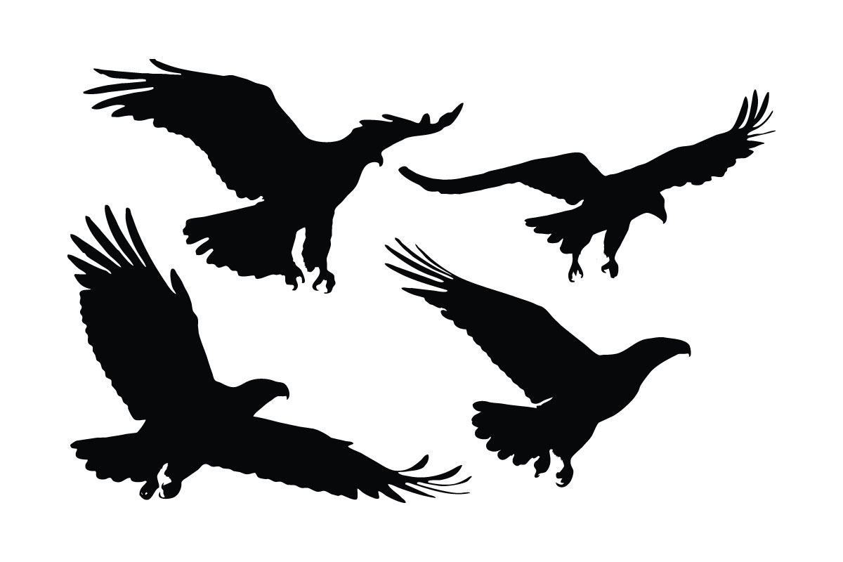 Eagle hunting silhouette set vector