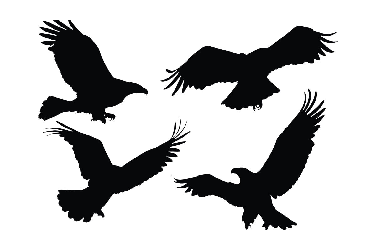 Wild eagle flying silhouette set vector