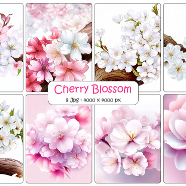 Blossom Floral Backgrounds 334399