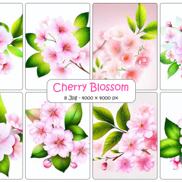 Blossom Floral Backgrounds 334438