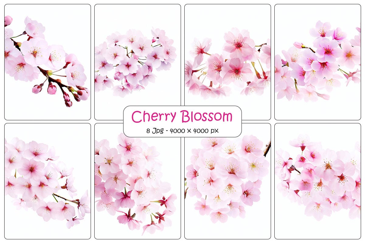 Realistic pink sakura cherry blossom flower branch with floral background