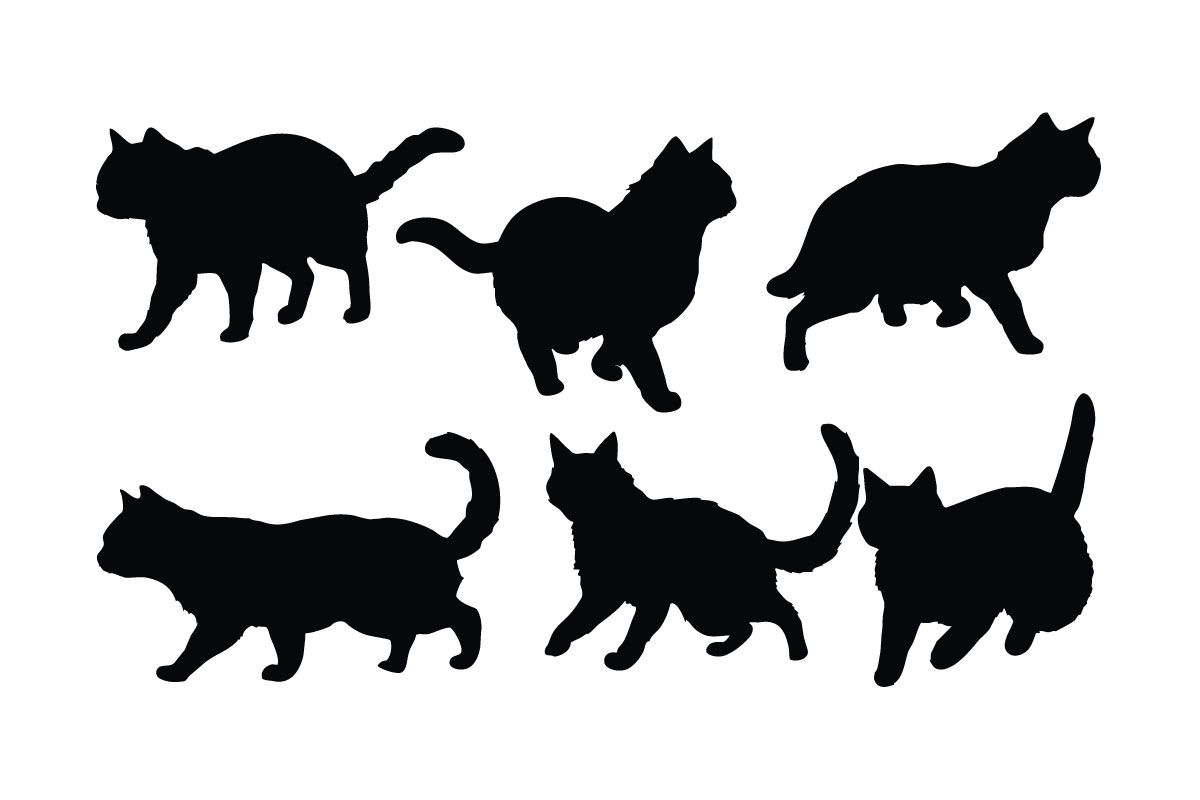 Home cat in different positions vector