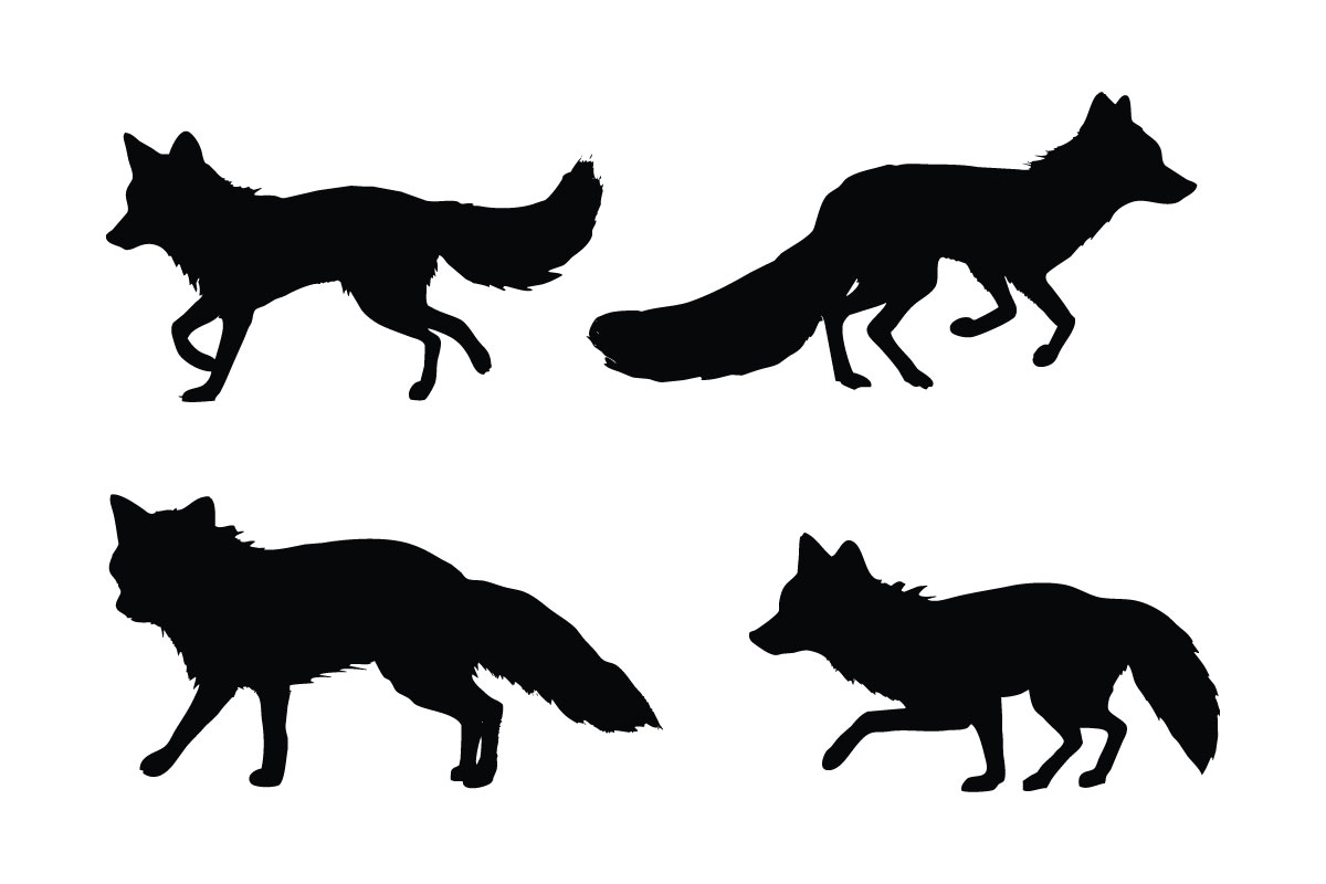 Foxes walking silhouette set vector