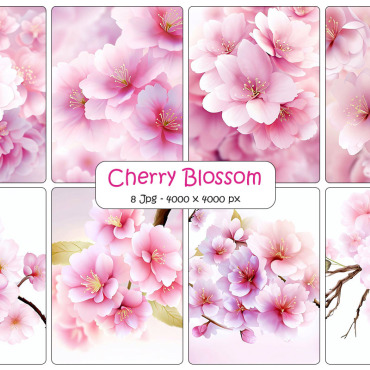 Blossom Floral Backgrounds 334517