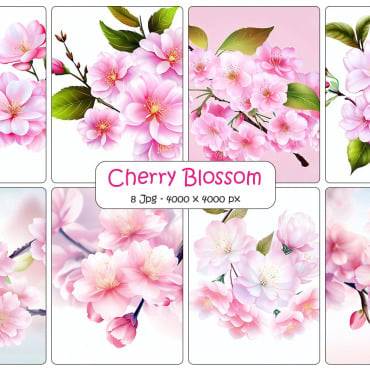 Blossom Floral Backgrounds 334519