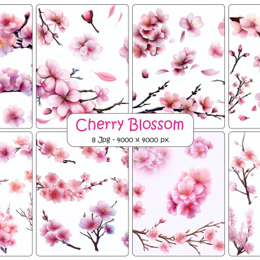 Blossom Floral Backgrounds 334522
