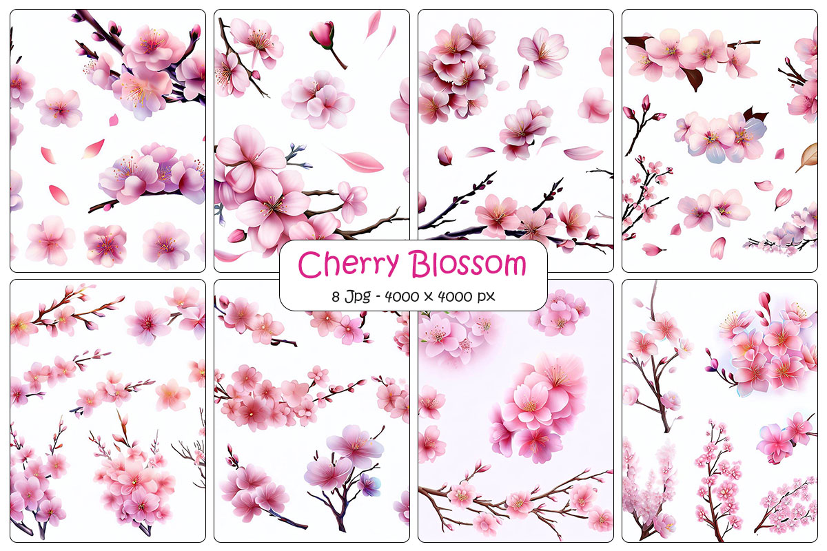 Cherry blossom branch with sakura pink flower background