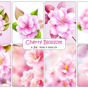 Blossom Floral  334524