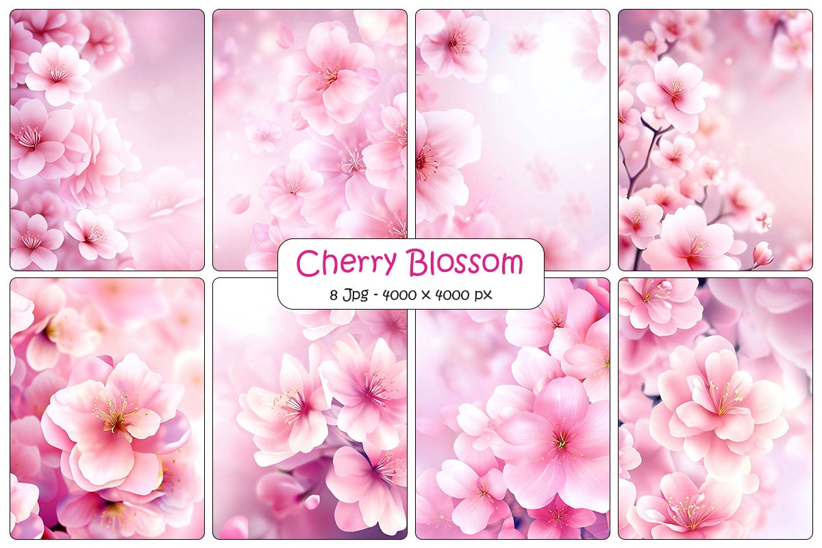 Pink sakura cherry blossom flower background and digital paper