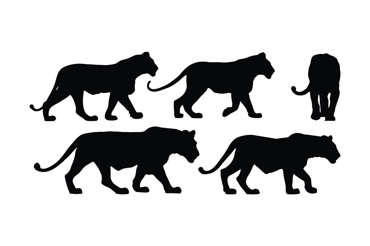 Standing lion silhouette collection