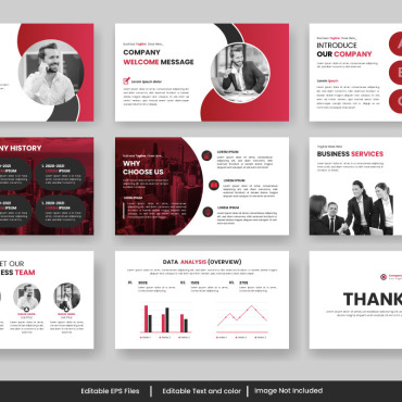 Company Profile Illustrations Templates 334832