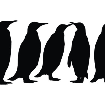 Penguin Cartoon Illustrations Templates 334951