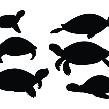 Crawling Turtle Illustrations Templates 334954