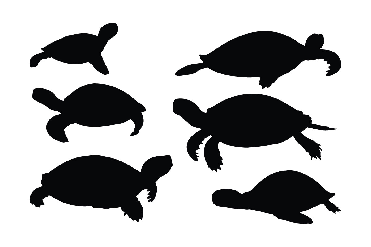 Sea turtles in different position vector