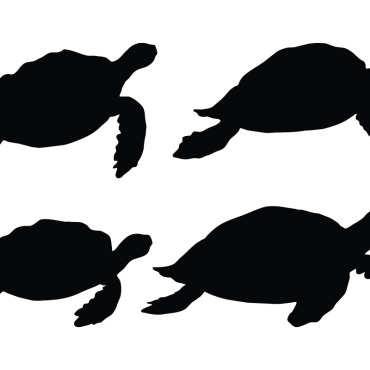 Crawling Turtle Illustrations Templates 334976