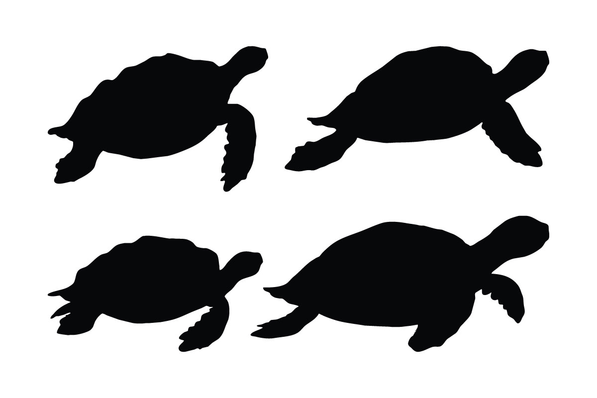 Turtle swimming in different positions