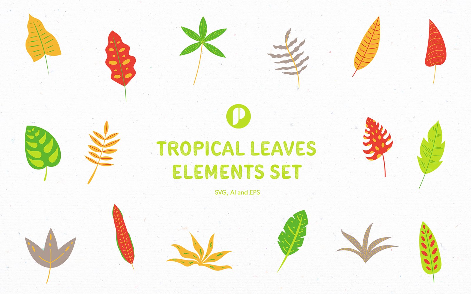 Tropical Leaves Elements Set