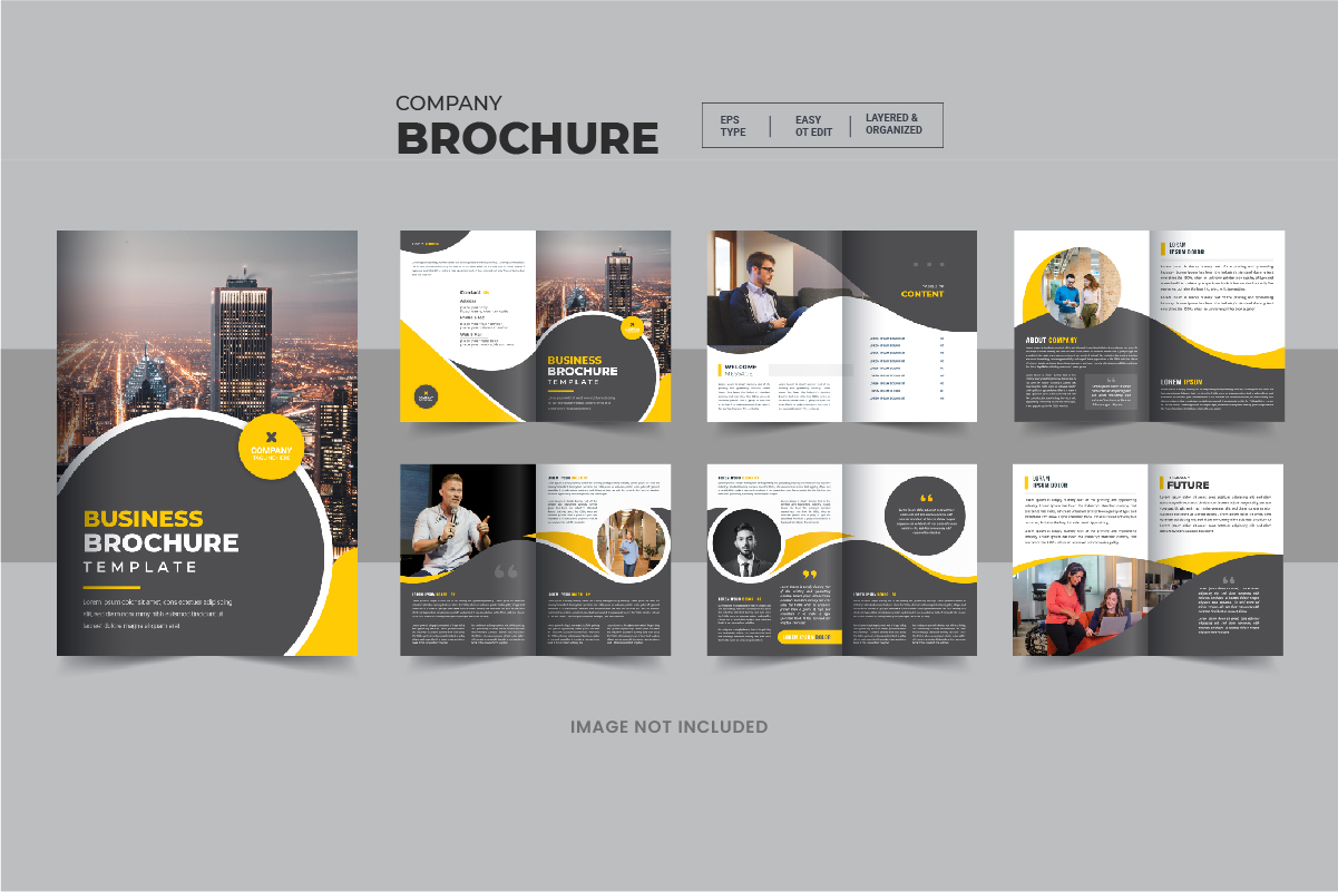 Brochure creative design. Multipurpose template with cover, back and inside page