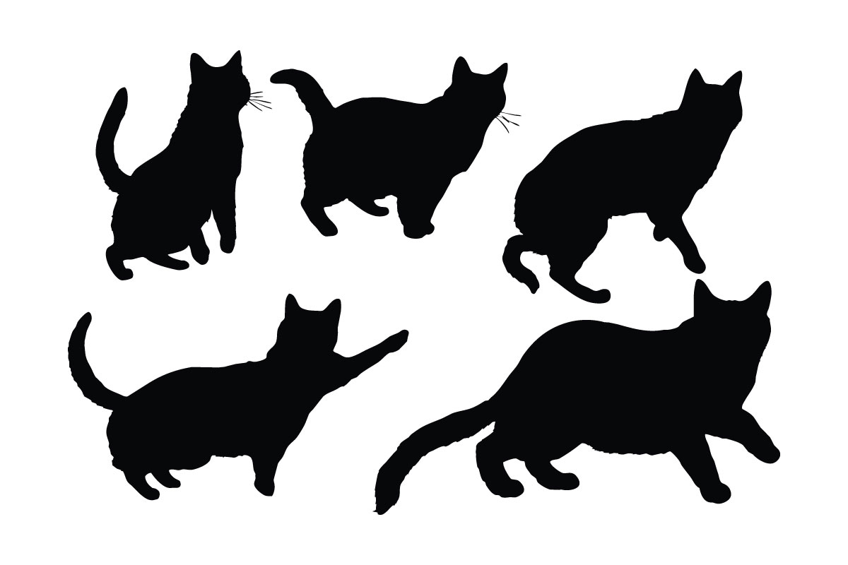 Cat in different positions silhouette