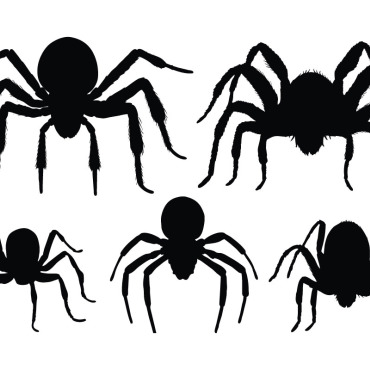 Spider Spider Illustrations Templates 335938
